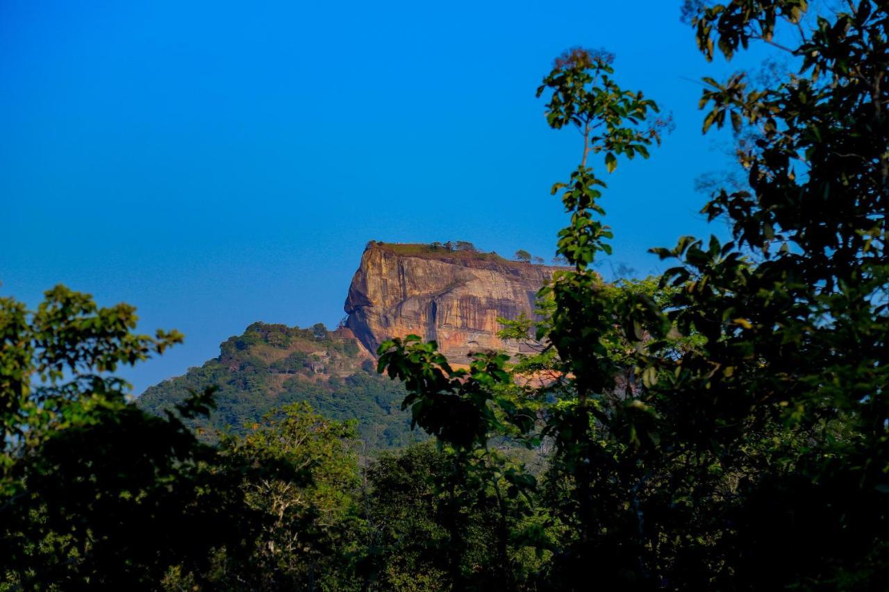Sigiriya Rock Gate Tree House Hotel Exterior photo