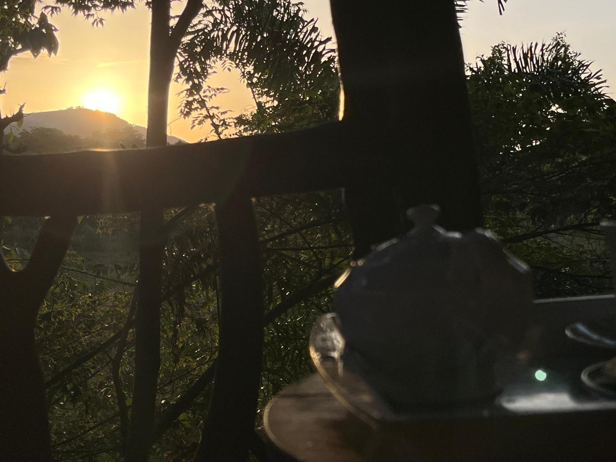 Sigiriya Rock Gate Tree House Hotel Exterior photo