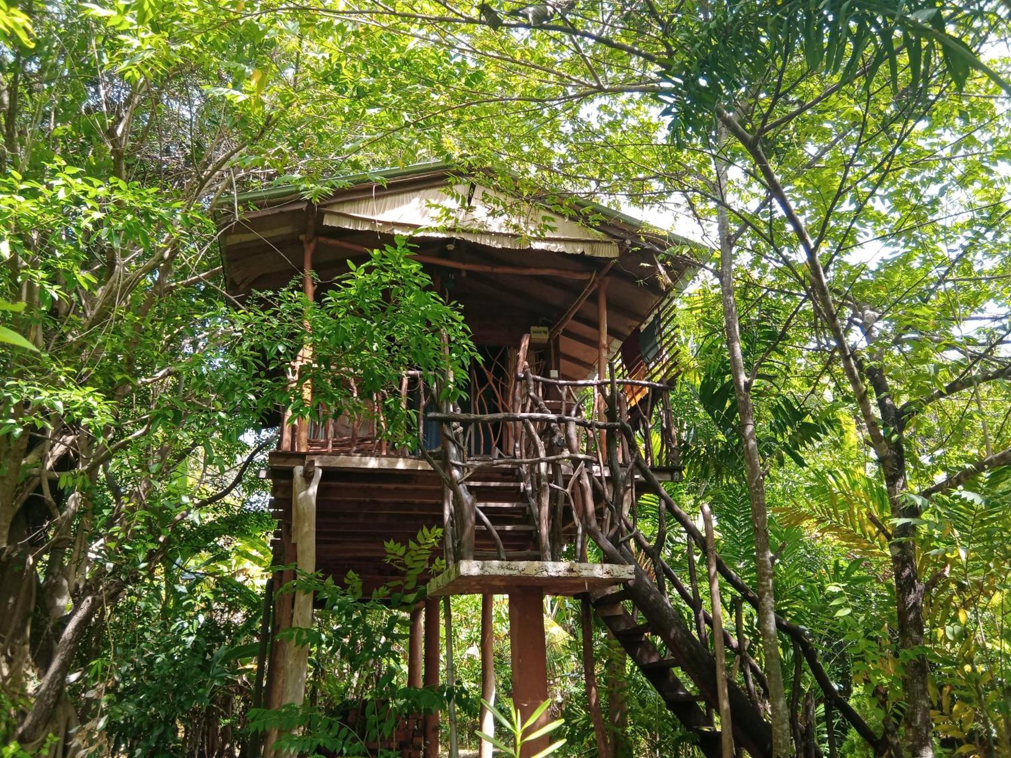 Sigiriya Rock Gate Tree House Hotel Room photo
